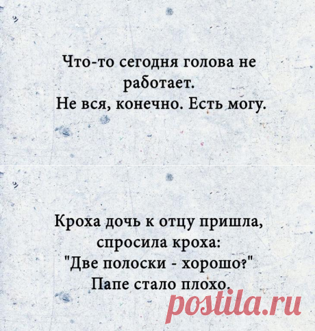 Смешные короткие надписи — емкий юмор в нескольких словах