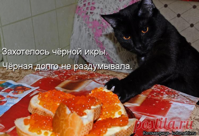 Проказники.