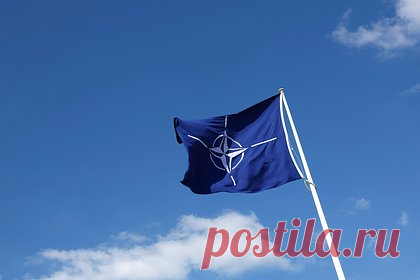 НАТО призвали официально объявить Россию самой большой угрозой