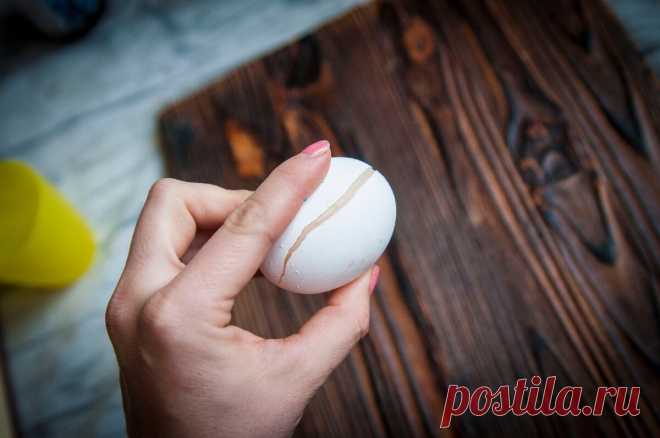 Муж проиграл мне спор))) Как приготовить из одного куриного яйца - 5 яичниц. Делюсь необычным рецептом | Дом с Котом | Яндекс Дзен