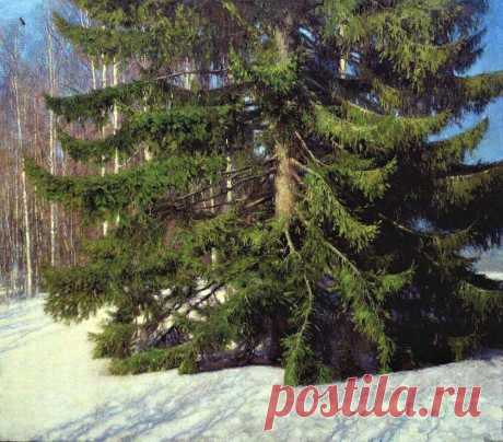 Художник Владимир Николаевич Коркодым (р. 1940)
"Весенняя ель"