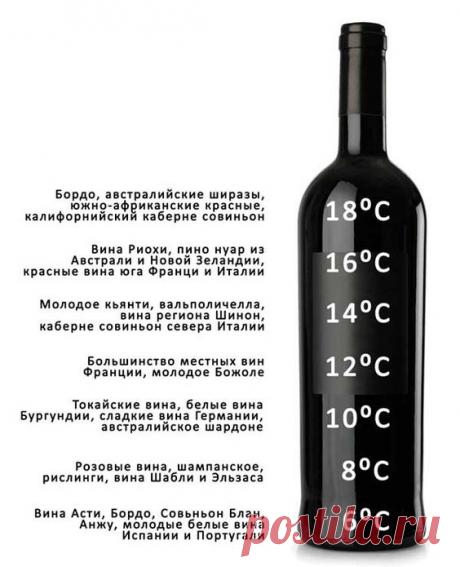 Сомелье рекомендует. Идеальная температура подачи красного, белого, розового, игристого вина