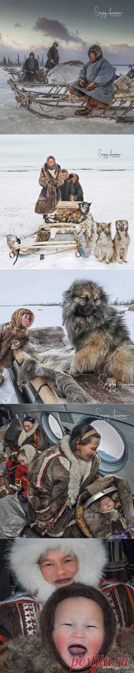Удивительная жизнь Северо-Западной Сибири на снимках профессионального фотографа / Туристический спутник