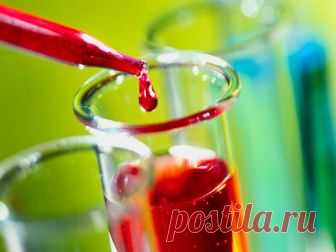Продукты, разжижающие кровь.