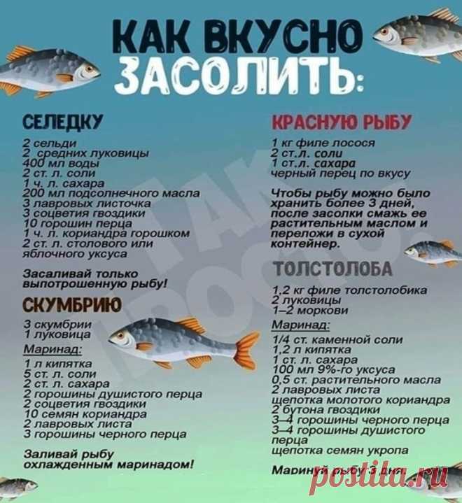 Рецепты засаливания рыбы: