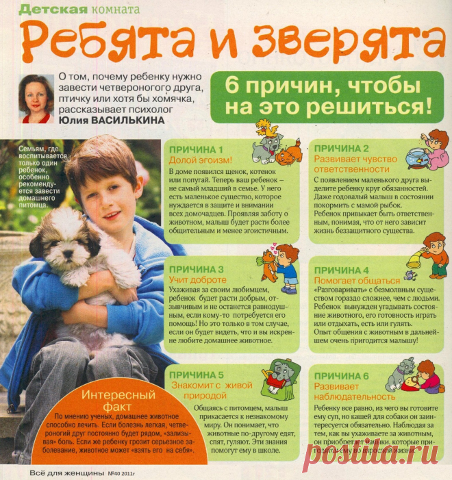 6 причин чтобы завести четвероногого друга