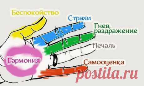 Как наши пальцы связаны с контролем эмоций? Это интересно! - Секреты.нет
