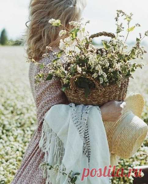 А июнь, он из чего…

Из запаха скошенных трав, из ласточек в небе.
Он из облаков ванильного цвета по вечерам.
Из сладкой клубники с молоком вместо чая.
Из кружева веток рябины над головой, из цветущей липы. Из тропинки на пляж,
из грибных дождей. Из белых ночей,
из счастливых рассветов.

Он из сладкой щемящей радости в солнечном сплетении от того, что не передать, не надышаться, не насмотреться, а только чувствовать, проживая каждую минуту, только смеяться, только жить…

О...