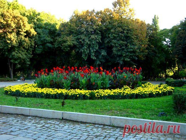 Сергей Кожевников
60 лет, Россия, г.Ликино-Дулево