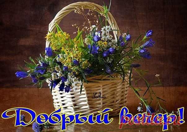 Новости