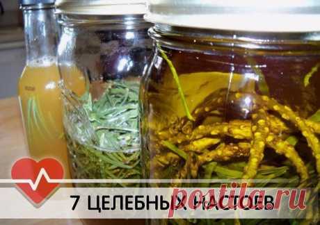 7 целебных настоев для восстановления сил.