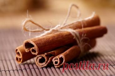 Корица: приправа, лекарство и средство для снижения веса.