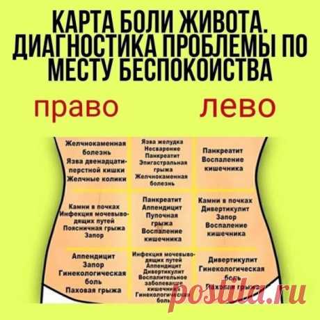 О чём говорит боль в  животе...