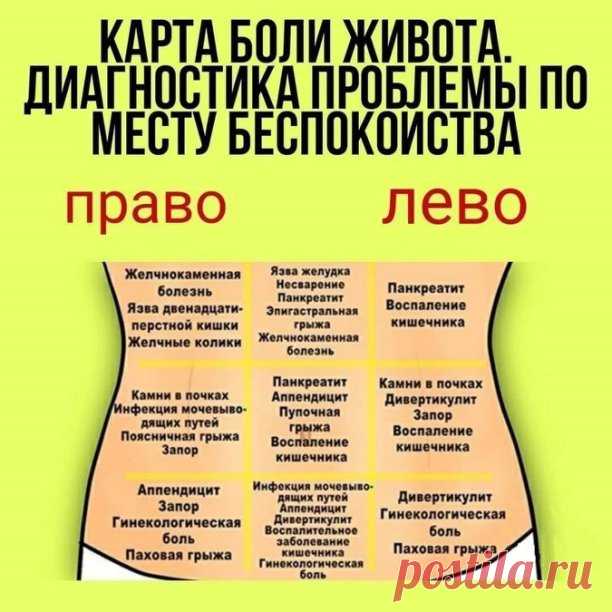 О чём говорит боль в  животе...