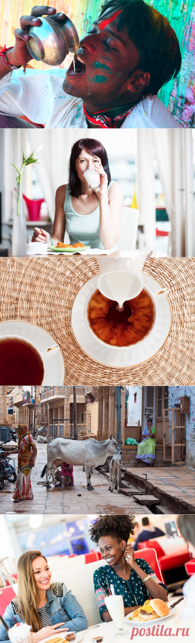 Молоко в разных культурах / Моя Планета