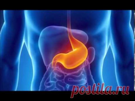 Программа для нормализации работы ЖКТ