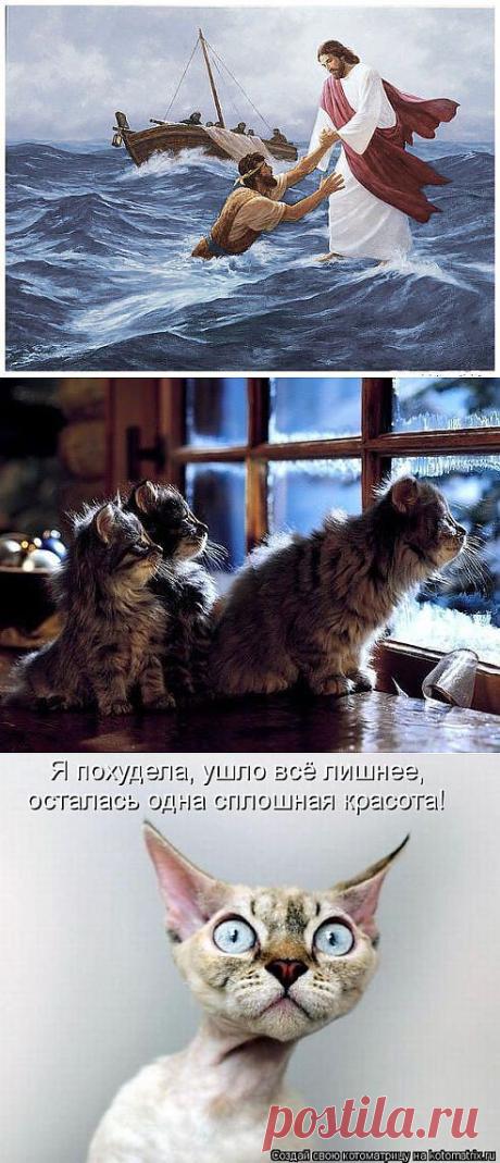 (15) Одноклассники