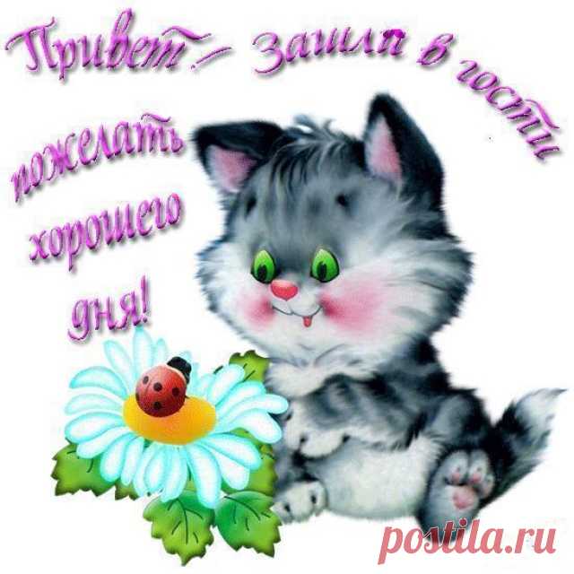 «ВСЕМ ПРИВЕТИК! КАК ДЕЛА? ЗАШЛА В ГОСТИ ПОЖЕЛАТЬ ХОРОШЕГО ДНЯ!»