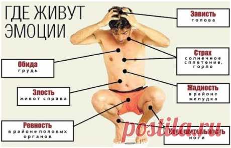 Семь страстей, приводящих к болезни: 
1) обильная радость - это инфаркт;
2) постоянная печаль - поражение легких;
3) гневливость - заболевание печени;
4) зависть - поражение печени и почек;
5) плаксивость - поражение сердечной оболочки;
6) испуг - поражение желчного пузыря, сахарный диабет;
7) безмерная заботливость - поражение селезенки.
Причина болезни - это три зла: стяжательство, гнев, невежество.
