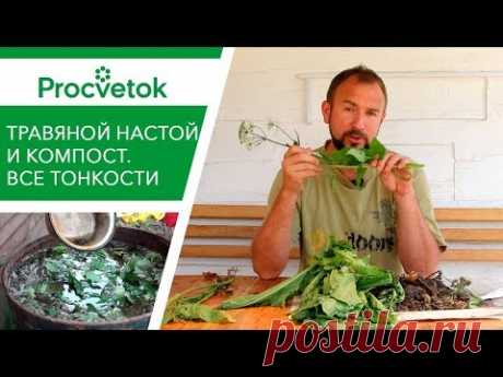 Органические удобрения - компост, травяной настой. Как сделать удобрение своими руками.