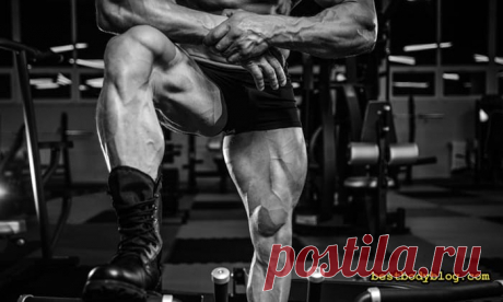 Программа тренировки ног. Или как накачать квадрицепс? | bestbodyblog.com