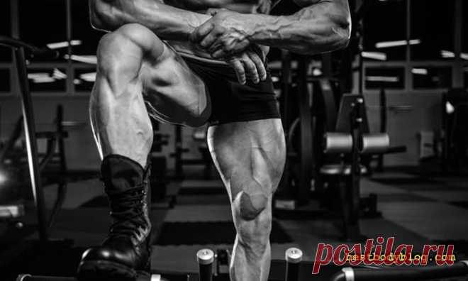 Программа тренировки ног. Или как накачать квадрицепс? | bestbodyblog.com