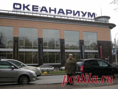 Океанариум.