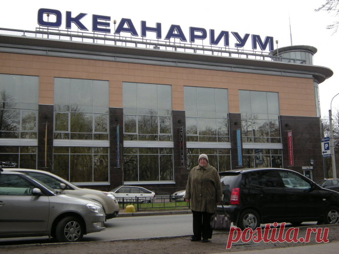 Океанариум.