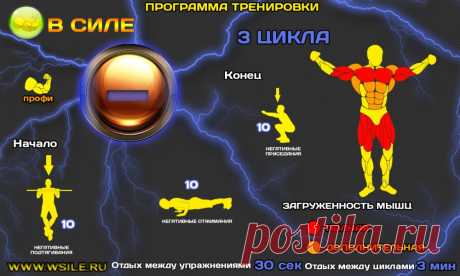 53 тренировочных программы для Начинающих, Продвинутых, Профессионалов и Мастеров от сайта WSILE.RU - WorkOut