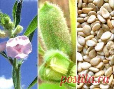 Вкусное домашнее печенье | любимые блюда