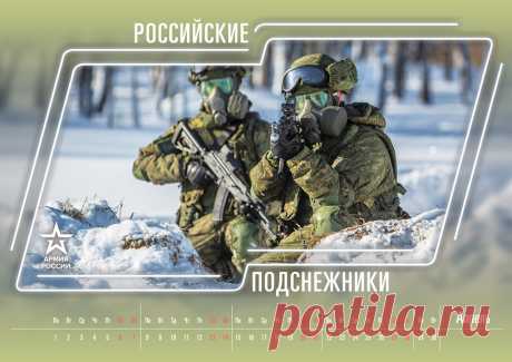 Минобороны выпустило шуточный календарь к Новому году - Mail Новости