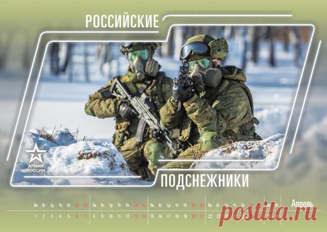 Минобороны выпустило шуточный календарь к Новому году - Mail Новости