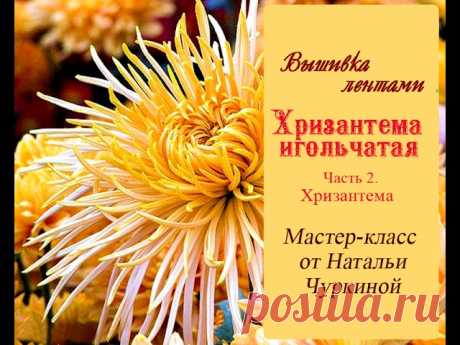 Мастер-класс по вышивке лентами "Хризантема игольчатая". Часть 3. Вышиваем хризантему без сердцевины