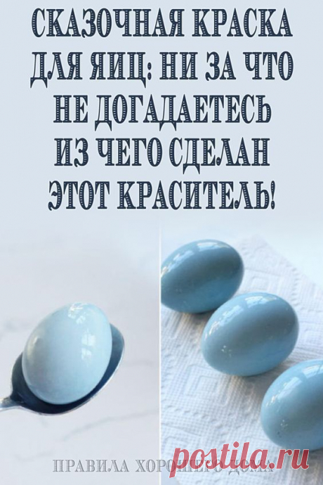 (124) Pinterest