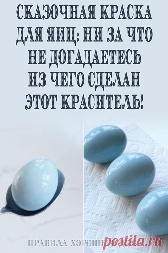 (124) Pinterest