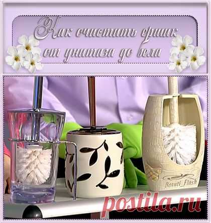 Как легко очистить ёршик от унитаза до бела.