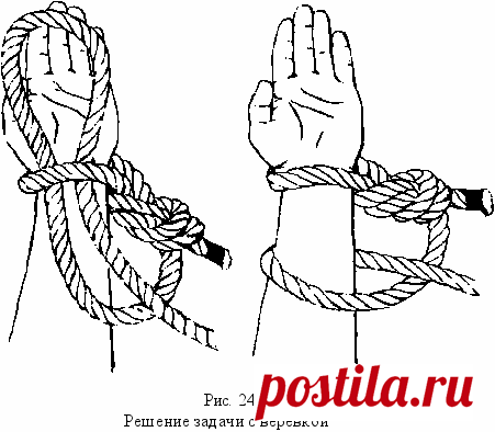 Развиваем интеллект и логику