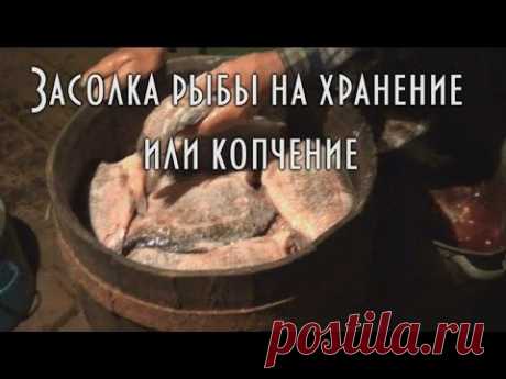 🐟 Холодное копчение рыбы. Часть 2.1 Засолка щуки и карася 🐠