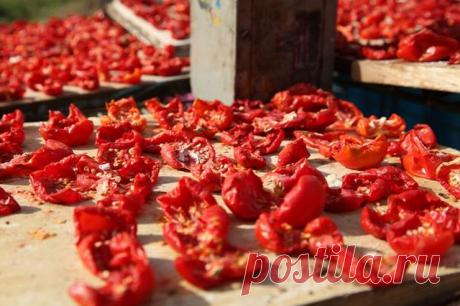 Сушим овощи и зелень