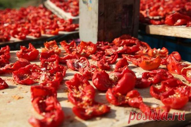 Сушим овощи и зелень