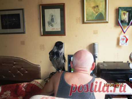 Её зовут Сара...