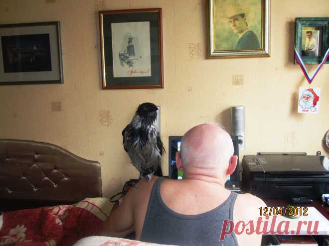 Её зовут Сара...