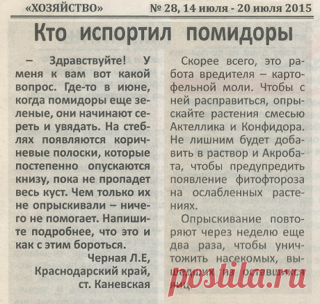 Кто испортил помидоры