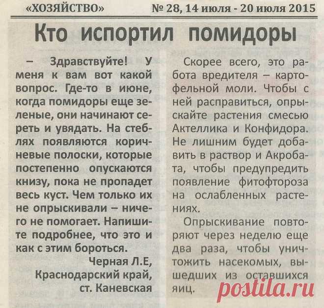 Кто испортил помидоры