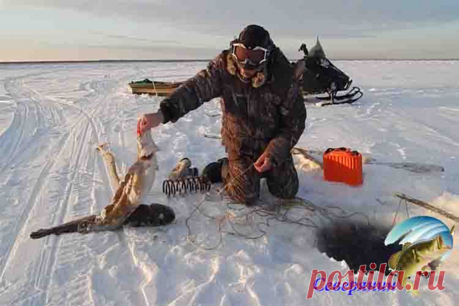Ловля со льда в марте В марте на водоемах еще держится последний ледяной покров, и именно в это время заканчивается сезон зимней рыбалки на все виды рыбы. Это отличный шанс для любителя порыбачить со льда, насладиться л…