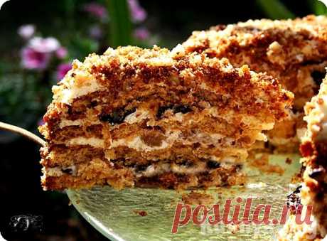 Торт с черносливом и орехами - рецепт | Торты | Новогодние рецепты 2015