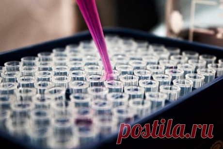 Генетический редактор CRISPR модифицировали для выявления рака. Команда китайских специалистов из университета Чжэнчжоу модифицировала генетический редактор CRISPR/Cas для точного выявления раковых клеток внутри организма. Технология основана на прицеливании и подсвечивании опухолевых клеток, которые постоянно выделяют экзосомы — внеклеточные крошечные пузырьки.