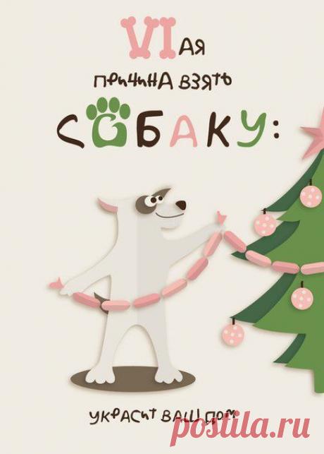 Семь причин завести собаку