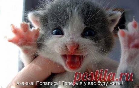 Лилия Советкина | ВКонтакте