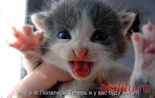 Лилия Советкина | ВКонтакте